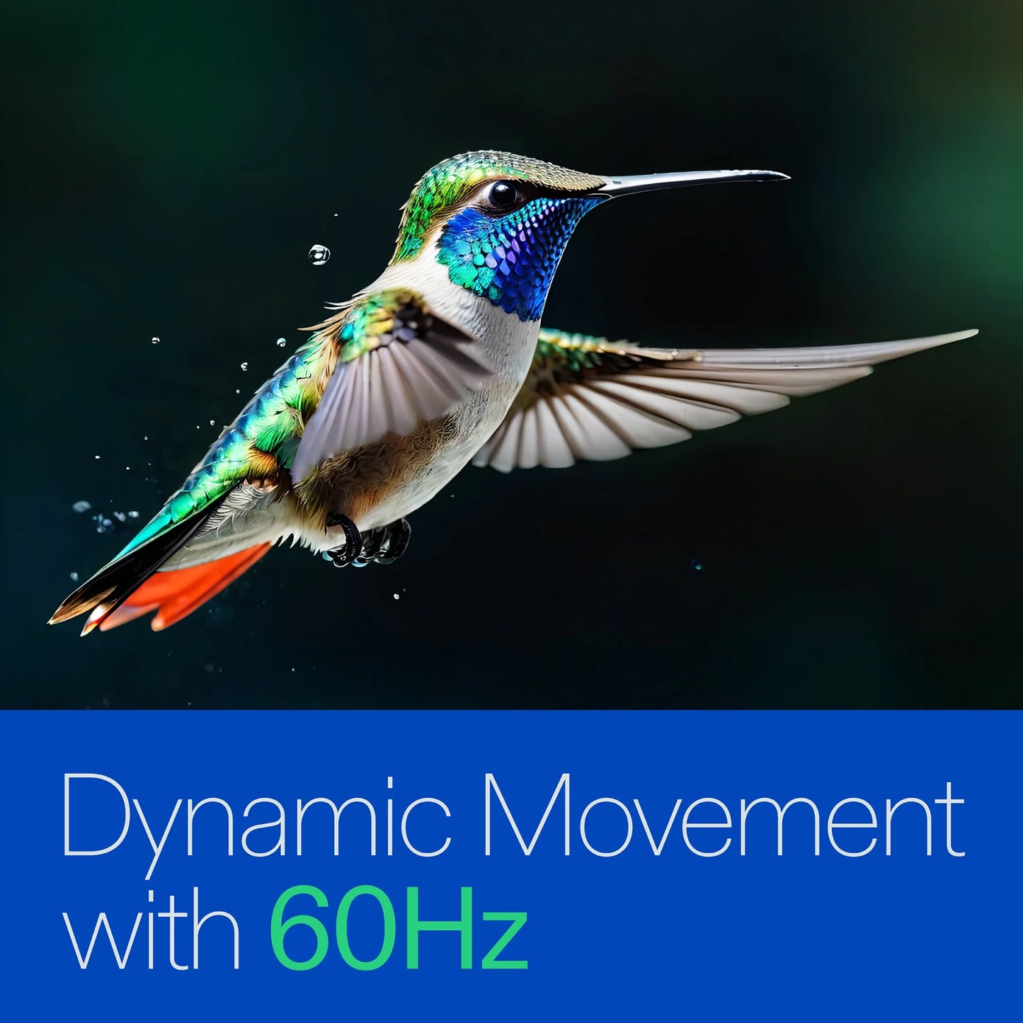 32” Class HD (720P) LED Roku Smart Television (100012589)